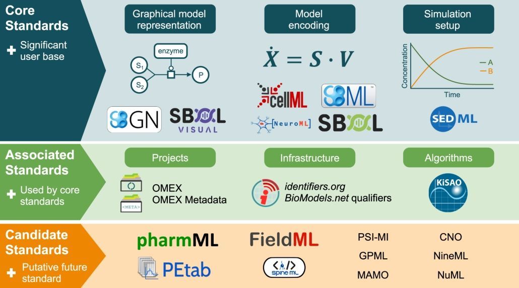 COMBINE standards and related efforts