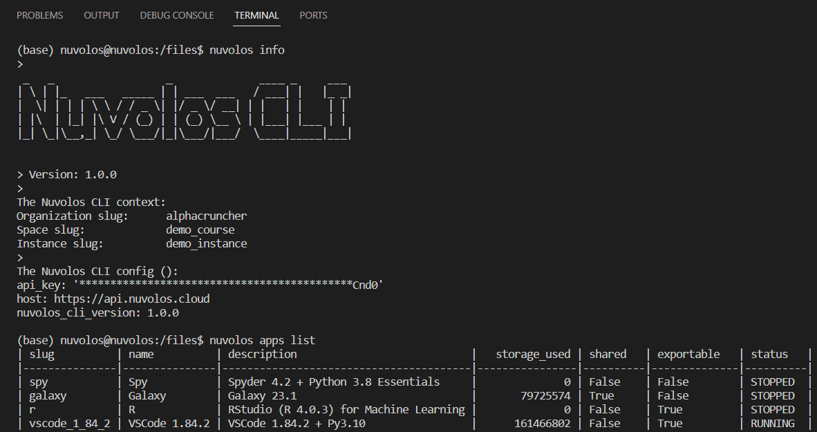 The Nuvolos API command line interface