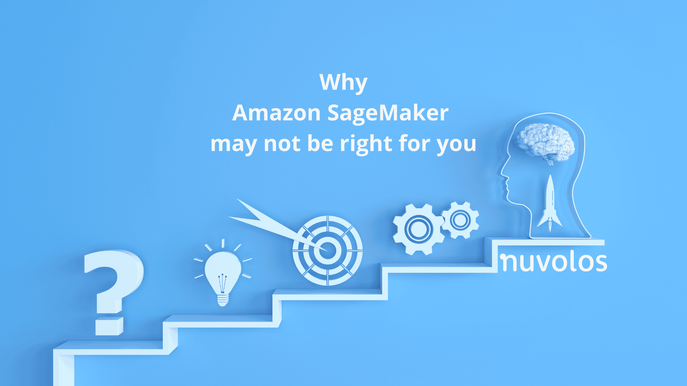Amazon-SageMaker-or-Nuvolos-2.png